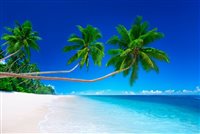Betriebsferien Sommer Betriebsferien Sommer
